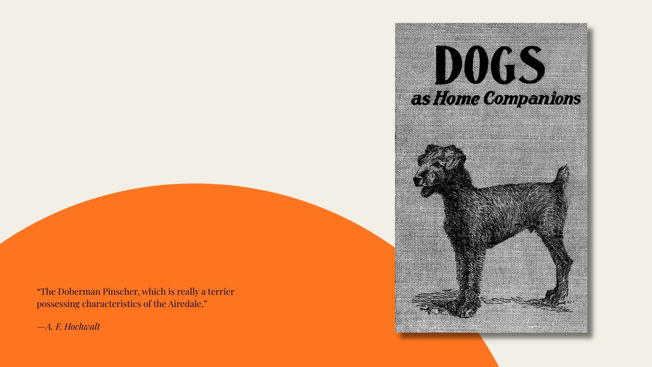 The Doberman Archives: The Doberman Pinscher in&nbsp;Dogs as Home Companions, 1922