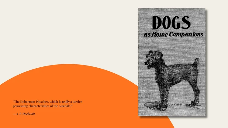 The Doberman Archives: The Doberman Pinscher in Dogs as Home Companions, 1922