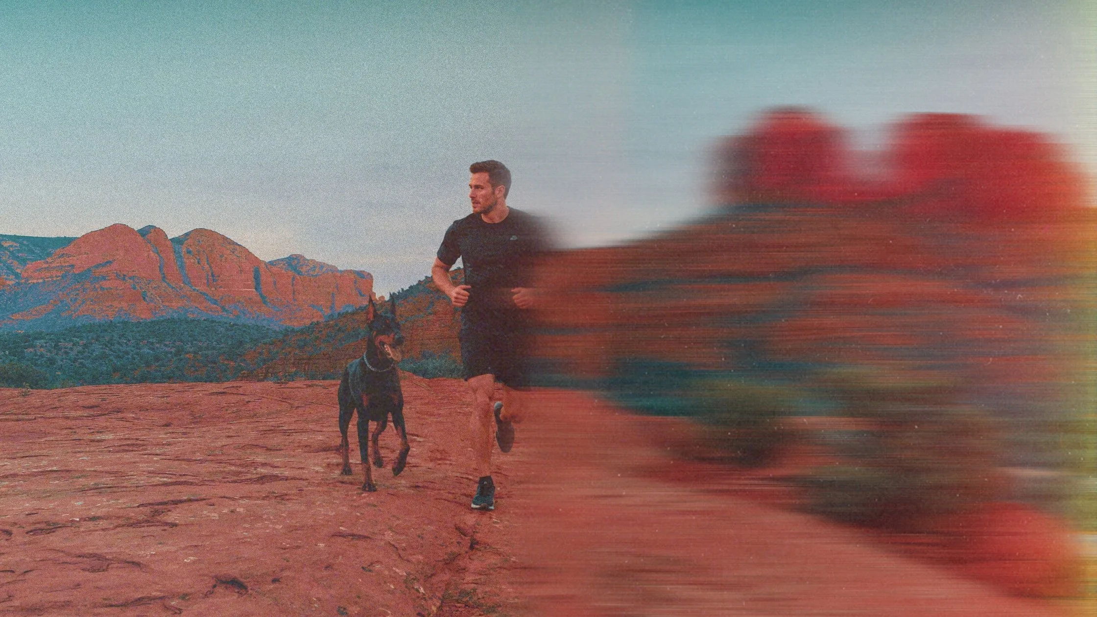 The Doberman's Exercise Guide: Tailoring Activities by Age and the Importance of Interaction