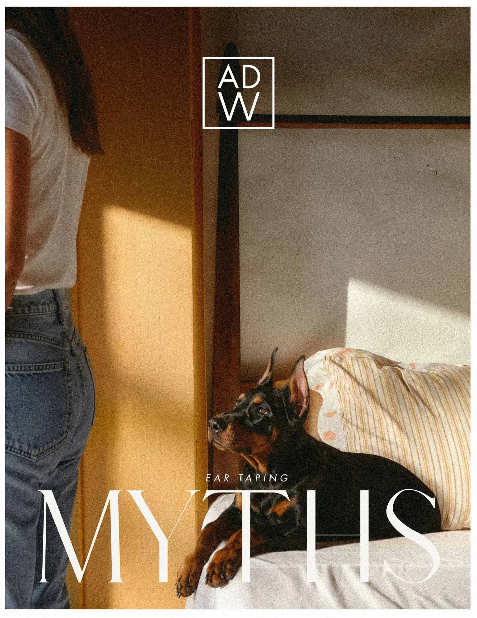 Black-and-rust Doberman with upright cropped ears resting on a bed in warm sunlight, beneath the ADW logo and the words “Ear Taping Myths.”