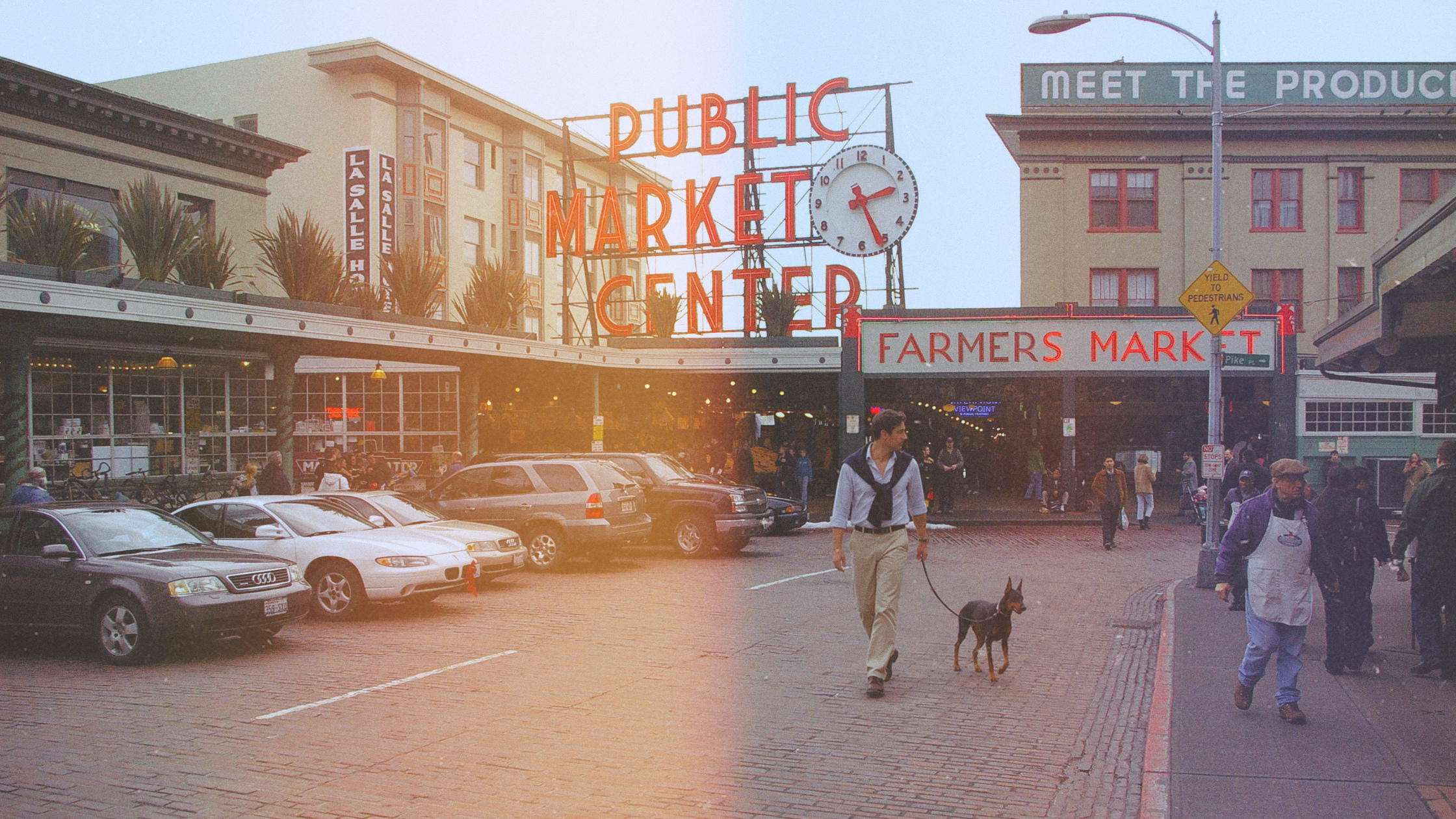 “Knuckling” - Understanding Leg Issues in Doberman Puppies: Carpal Laxity Syndrome
