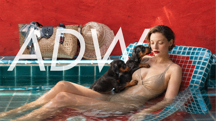 A Doberman puppy leaning against a woman in a tiled pool