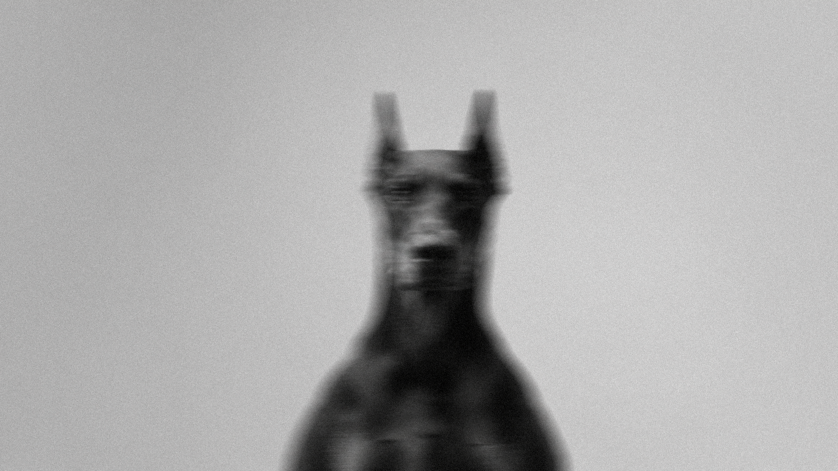 A black and white photograph of a blurry Doberman