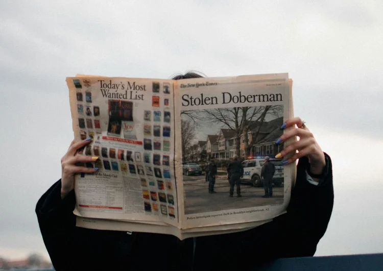 10 Things About Dog Theft You Should Know As a Doberman Guardian