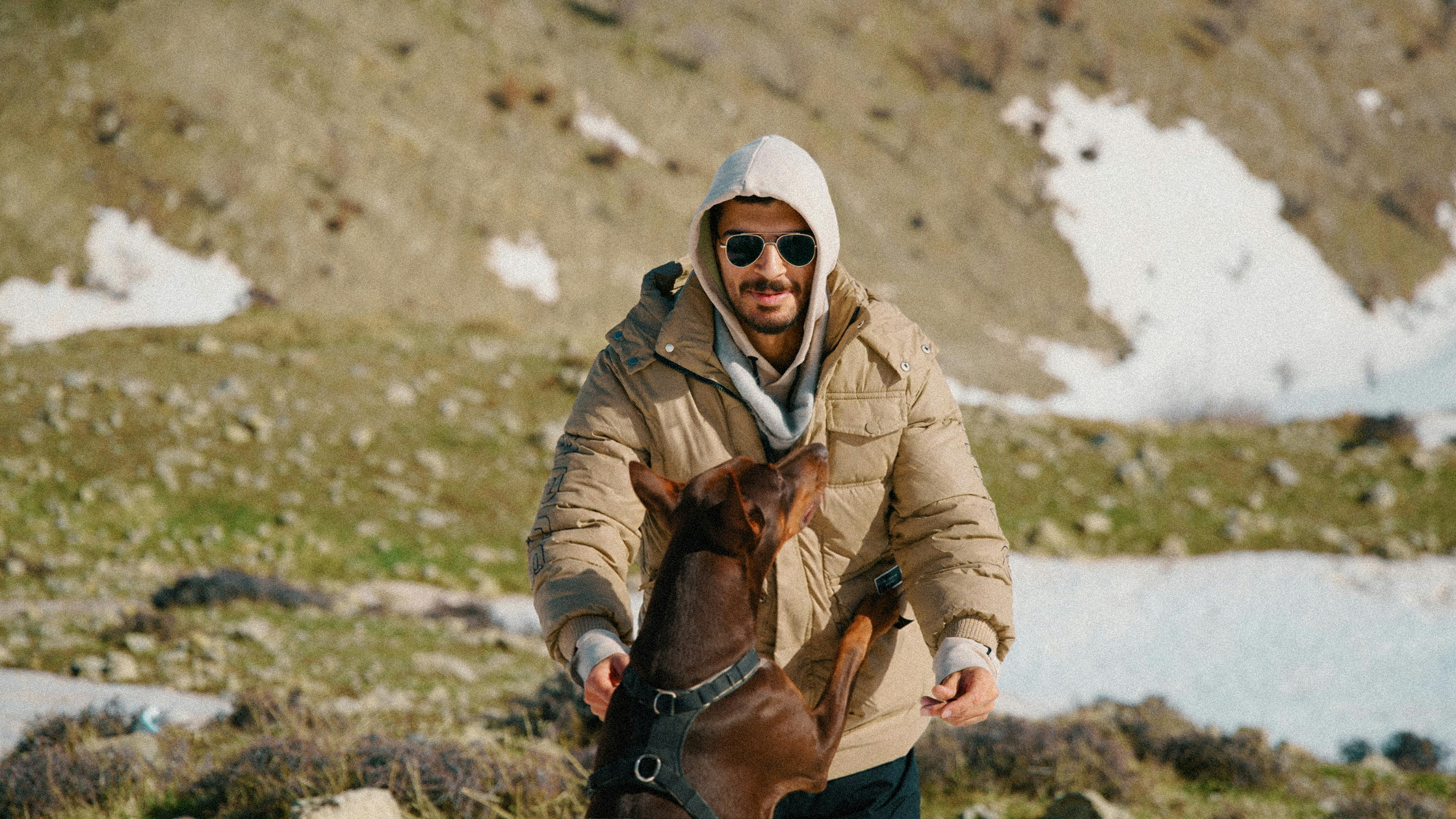 A man on a hiking trail with his red Doberman jumping up on him and wearing a harness.