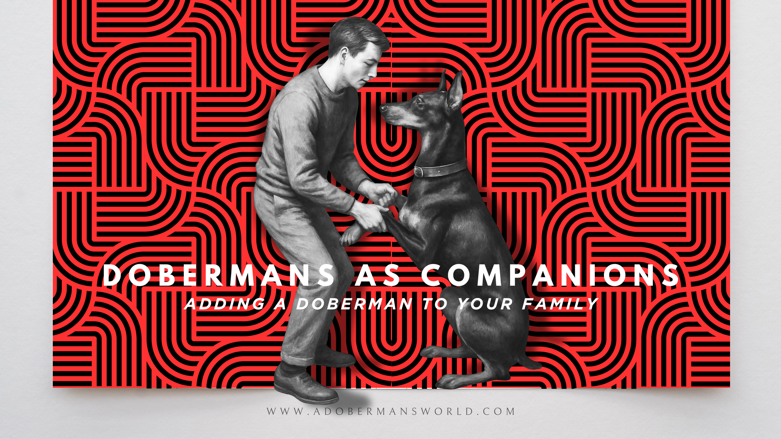 The Doberman as a Companion Dog