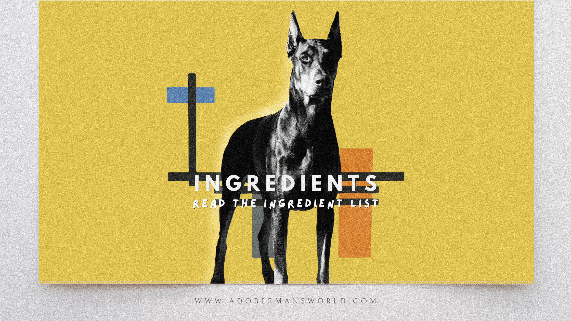 Doberman Nurtrition Beyond the Label: Navigating the Complex Intersections of Pet Nutrition, Marketing, and Scientific Research