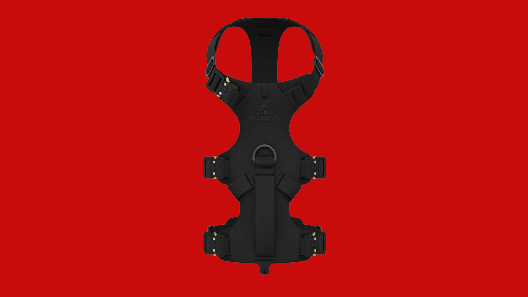 A black harness for a Doberman on a red background.