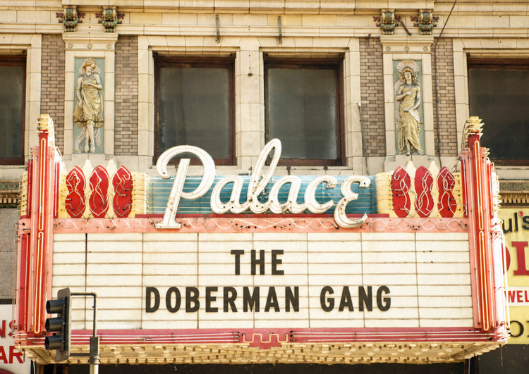 The Cultural Icon: Dobermans in Media and Public Perception - A Story of Stereotypes
