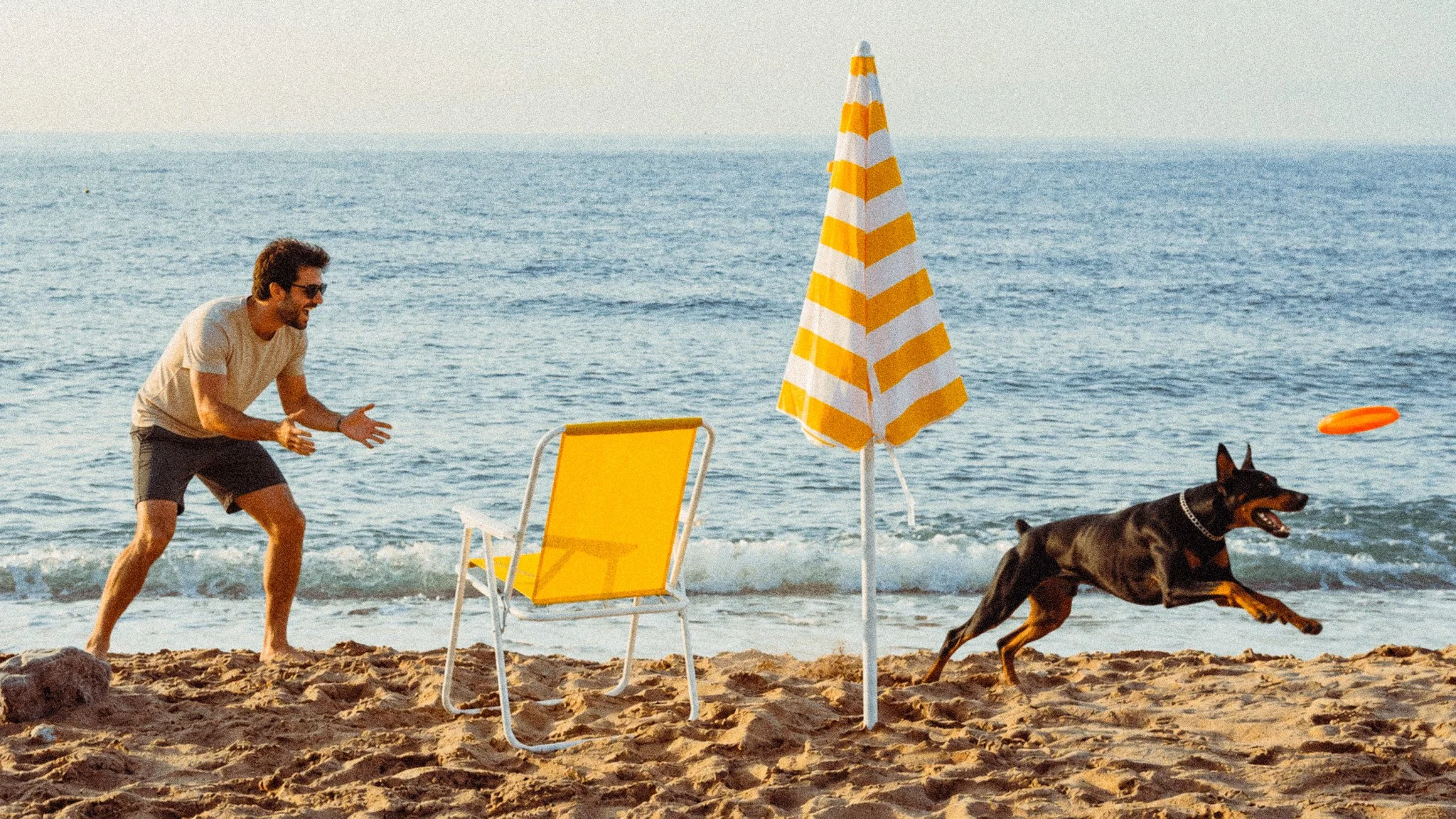 The Doberman's Exercise Guide: Tailoring Activities by Age and the Importance of Interaction