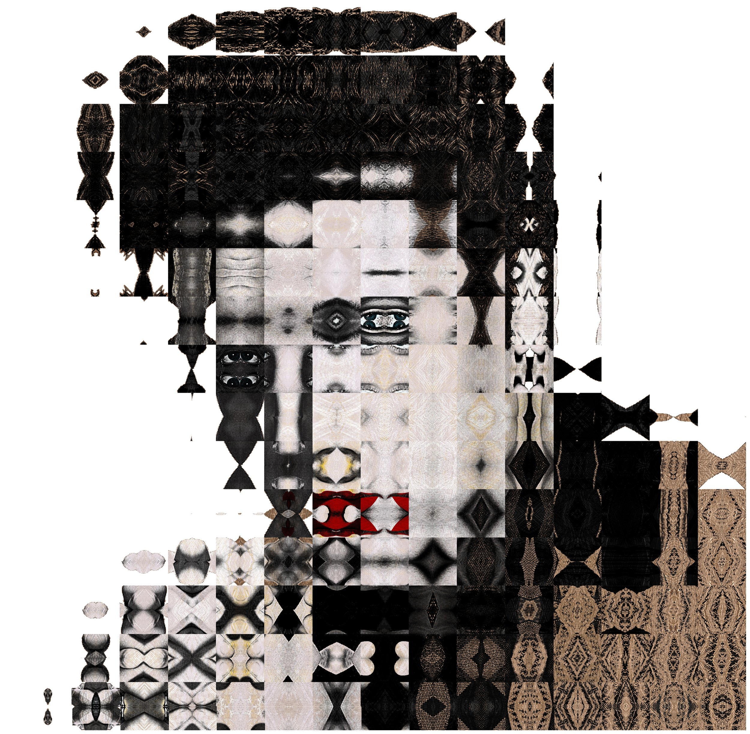 “Elvis Intenso”   - 2026 -  digital photomontage     in limited edition Giclee prints,    50 x 50cm on Hahnemule paper