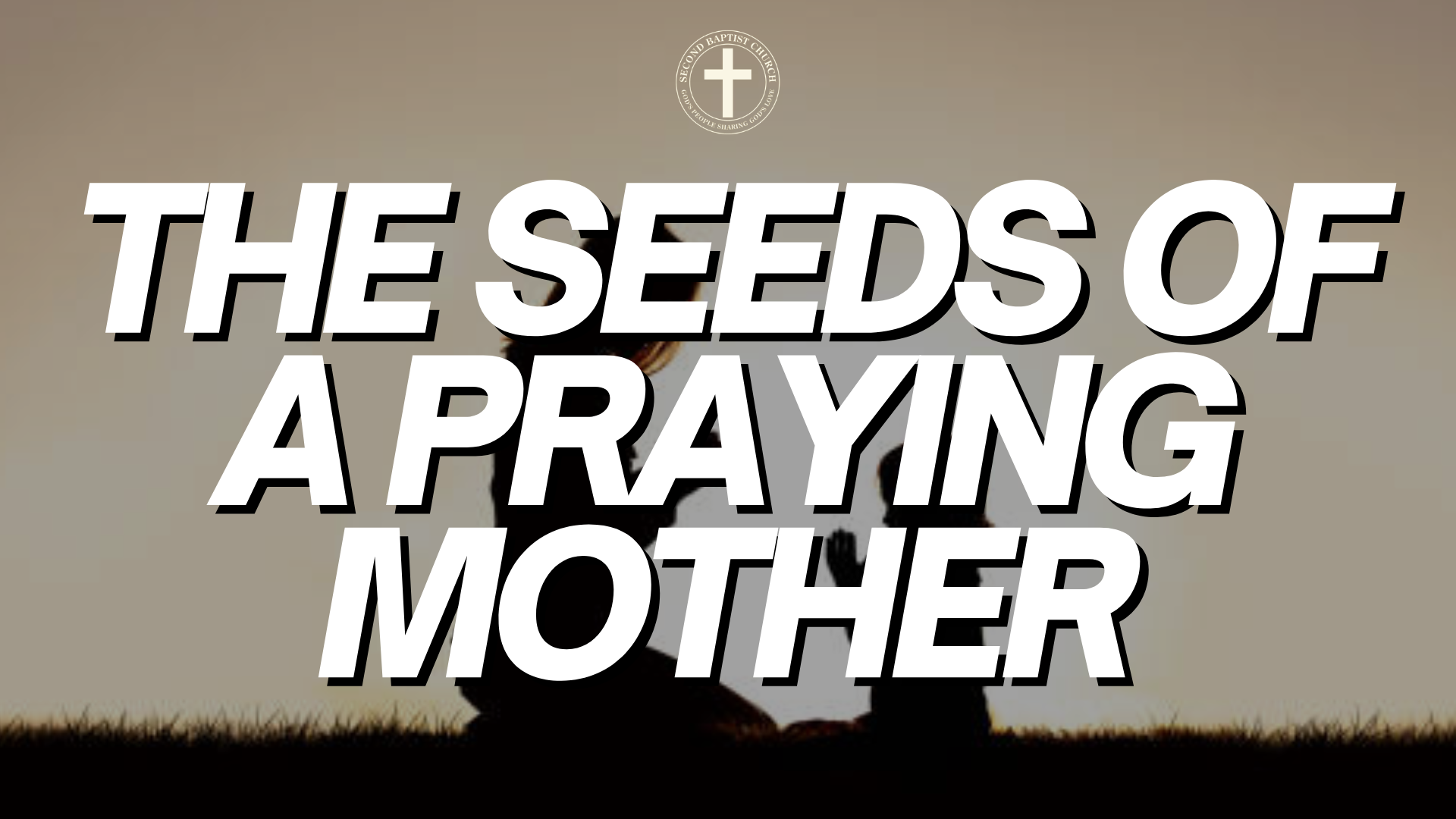 theseedspraying.png