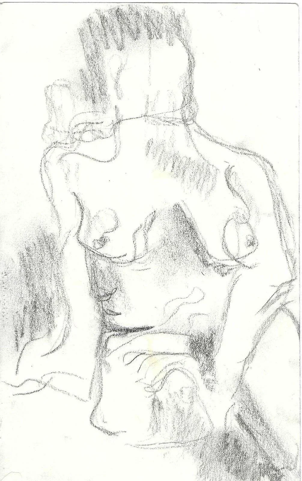 studies in flesh