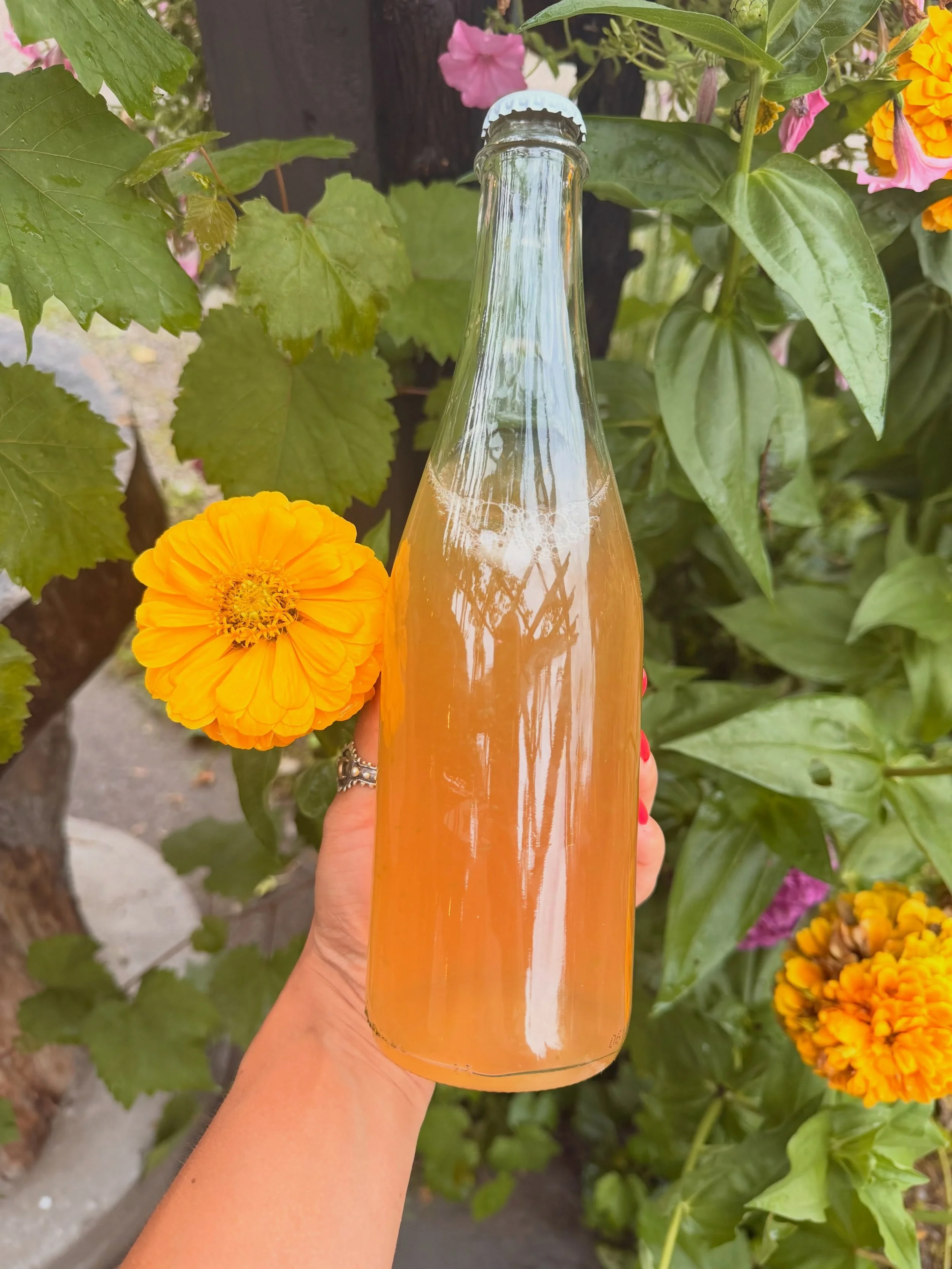 A look at what&rsquo;s been in production lately🫙

new seasonal kombuchas:

THE HERBALIST 
elderberry + lemon verbena

AGUA VERDE 
cucumber + celery + lemon verbena + agave

Small batch, naturally fermented &amp; bottled by hand.
