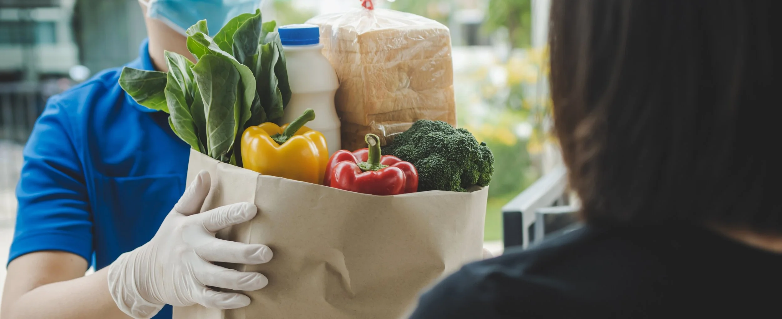 Person in a blue shirt and white gloves hands a paper bag filled with fresh vegetables including bell peppers, broccoli, leafy greens, and a bottle of milk to another person.