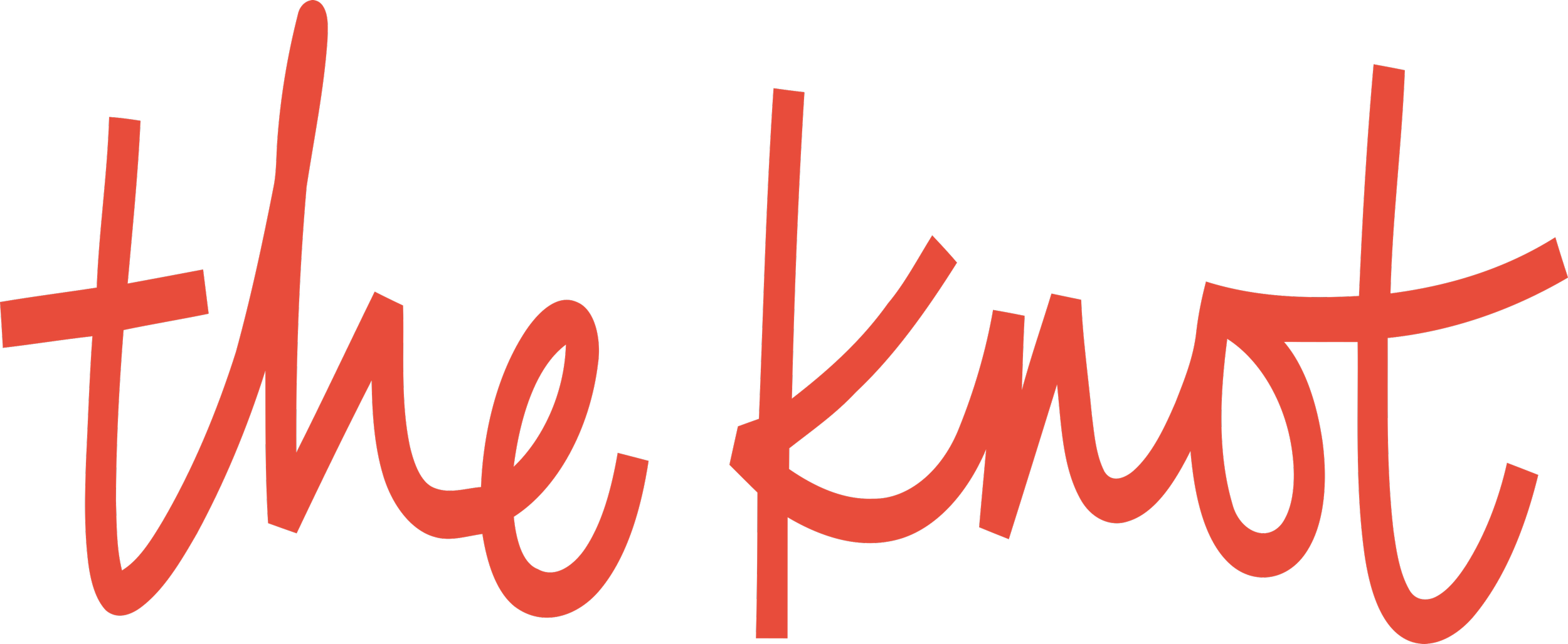 Red cursive text that reads 'the knot' on a black background.
