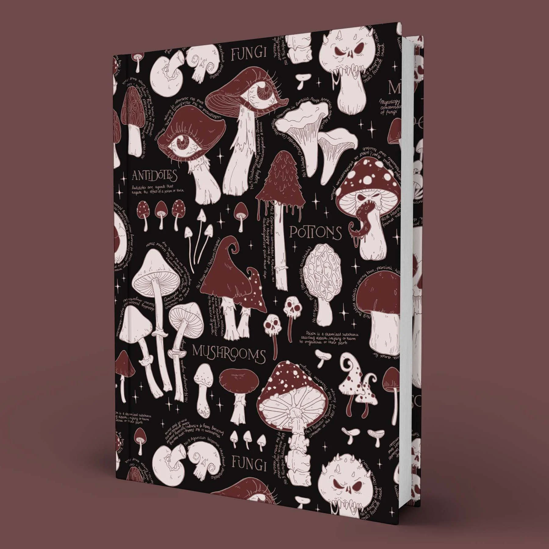 muschroom_notebook.jpg