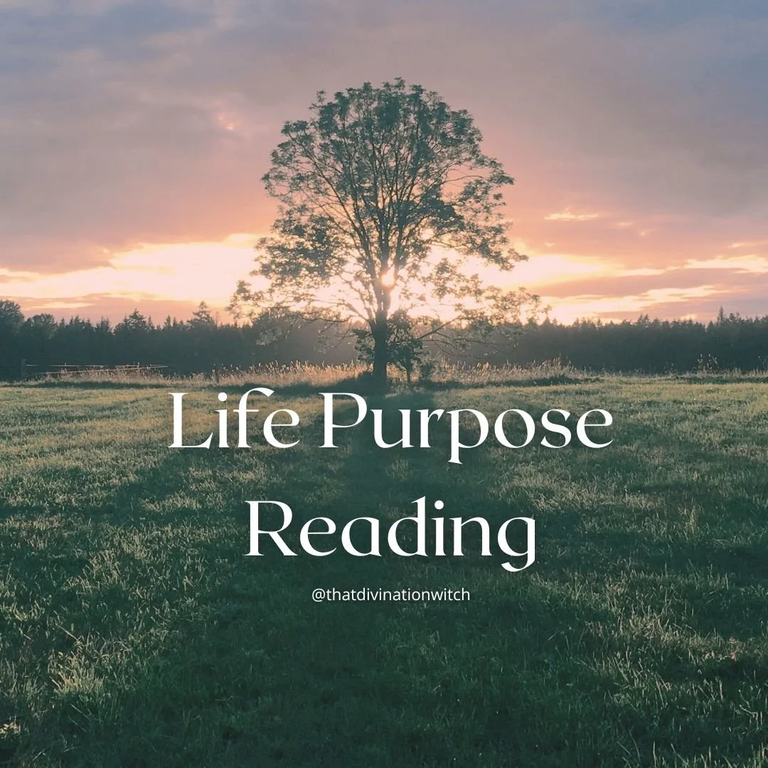 Copy of Copy of Cras (28).jpg