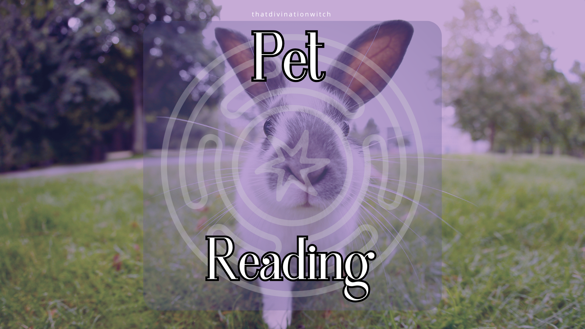 Pet Reading.png