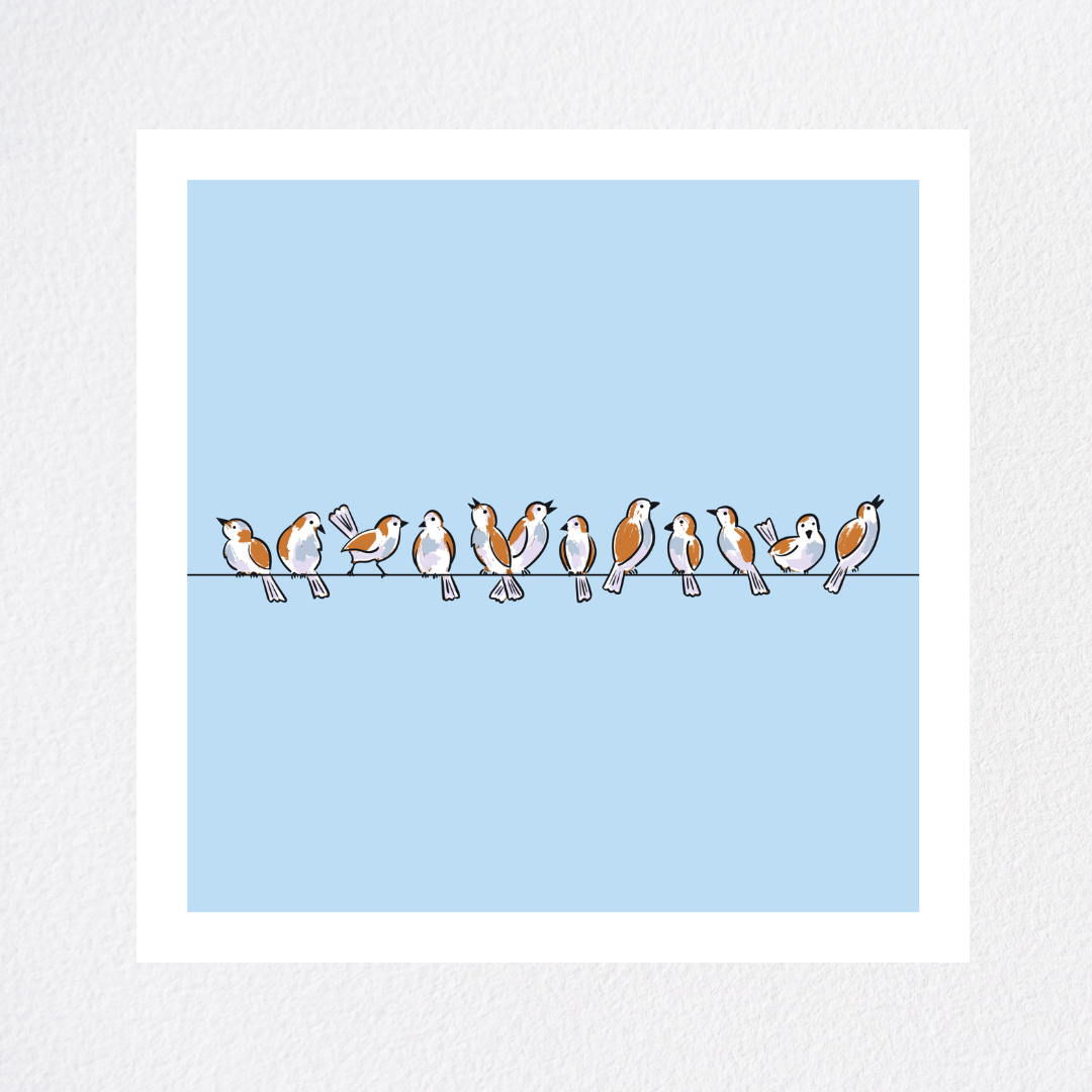 Twelve Birds - Mockup.png