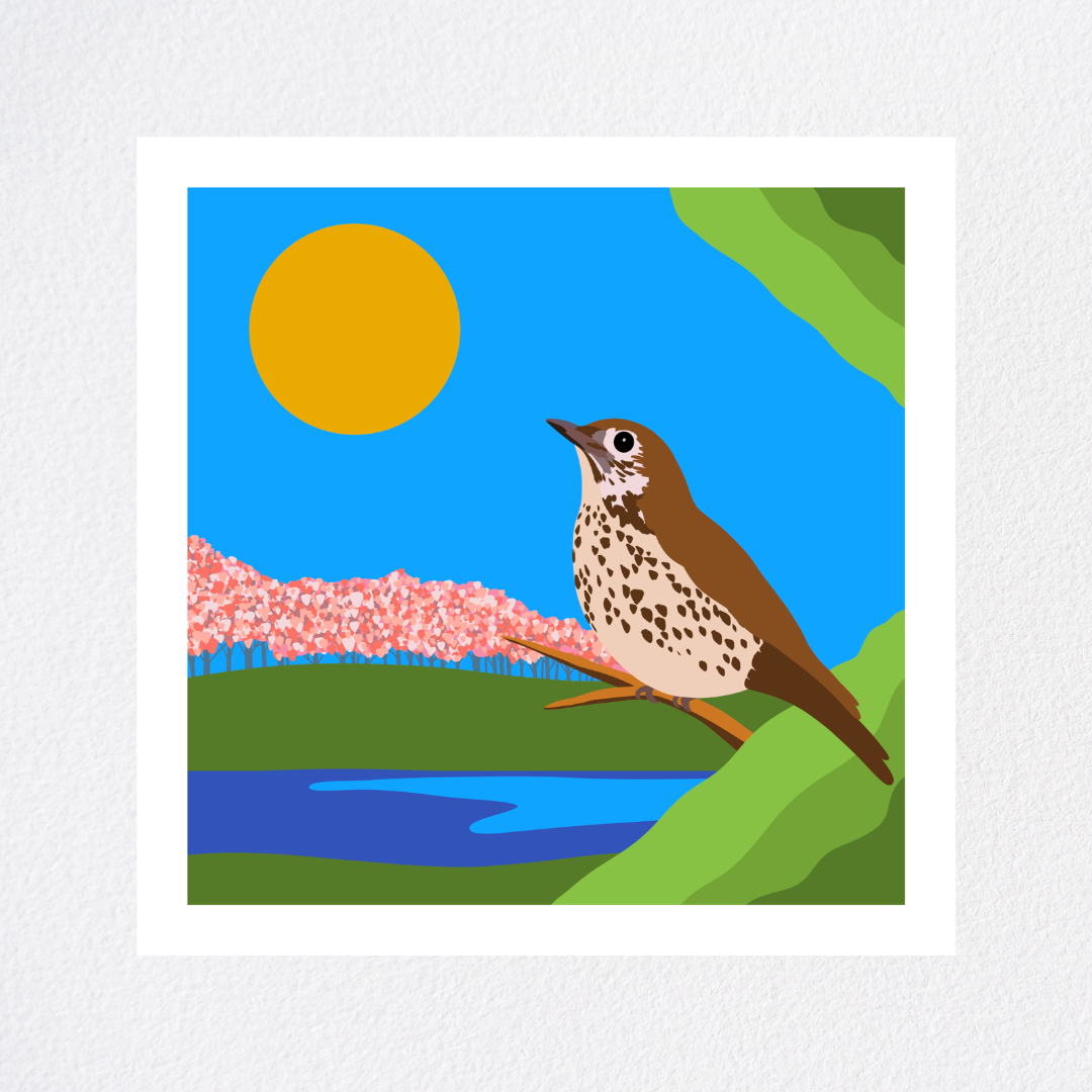Wood Thrush - Mockup.png