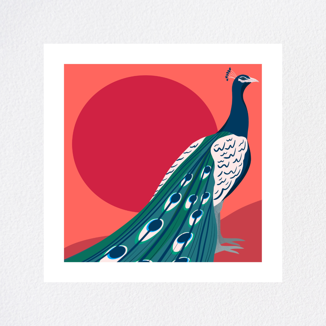 Peacock