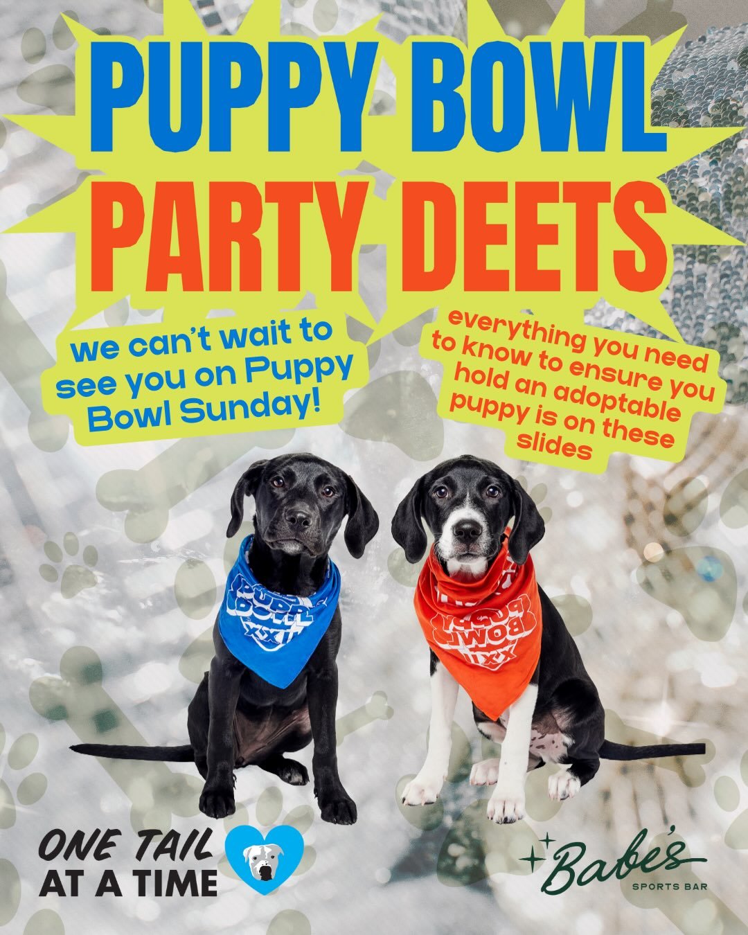 we&rsquo;re gearing up for the big game!!!! swipe through for all you need to know to hold puppies from @onetailatatime on Puppy Bowl Sunday (also in an ideal world we would have gotten you this info like a week ago but we&rsquo;ve had our hands full
