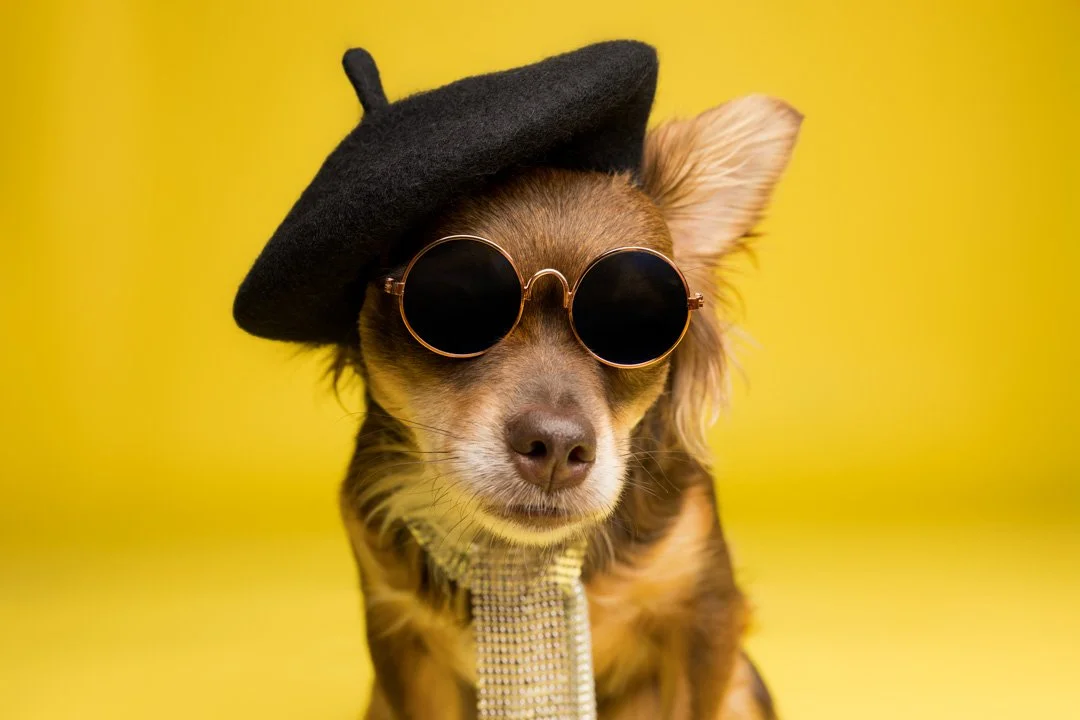 web_arf_wag_paws_around_the_world_by_michel_rohner_arf_and_wag_maple-2.JPG