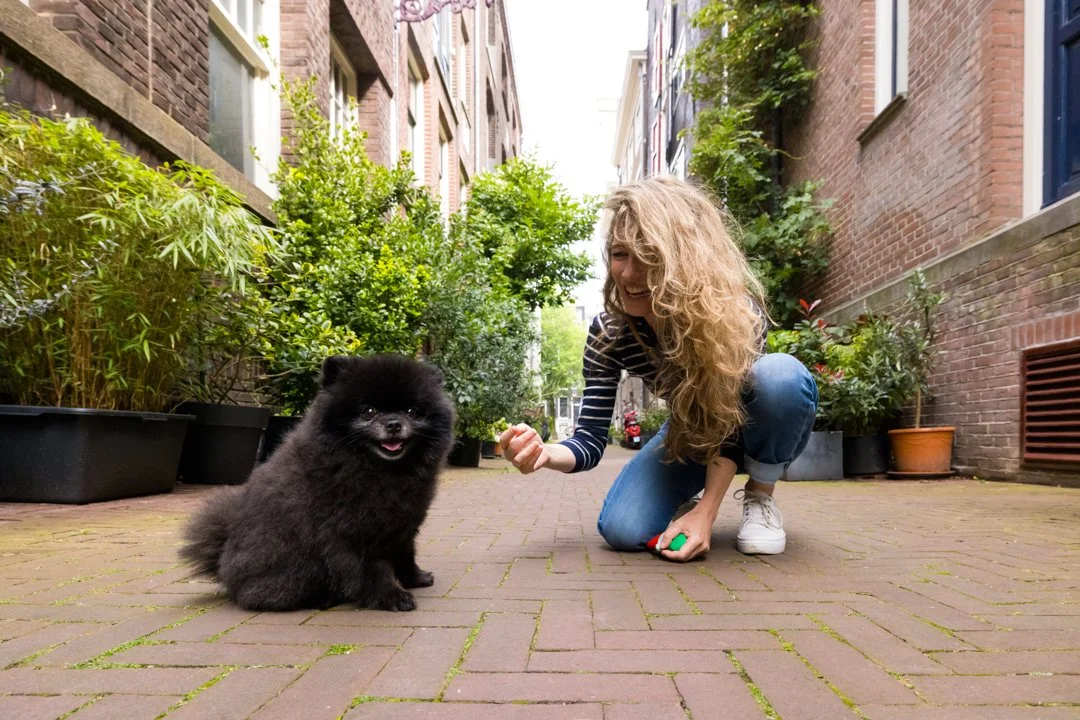 web-arf-wag-paws-around-the-world-5.JPG