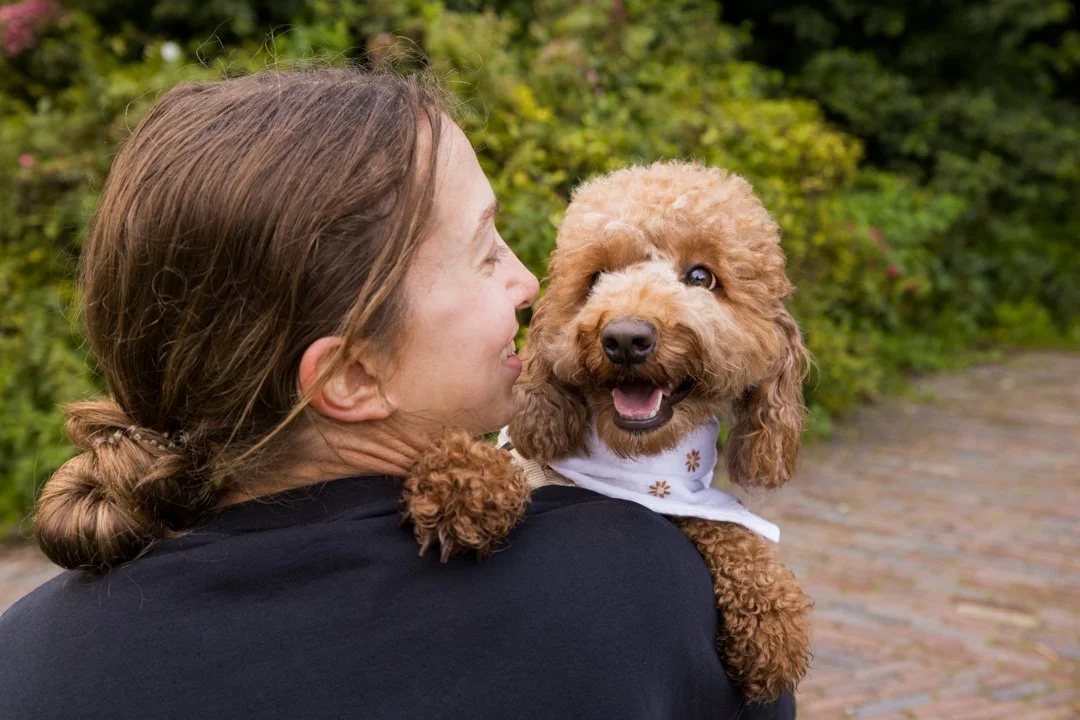 arf_wag_paws_around_the_world_by_michel_rohner_arf_and_wag_alba_web-4.JPG