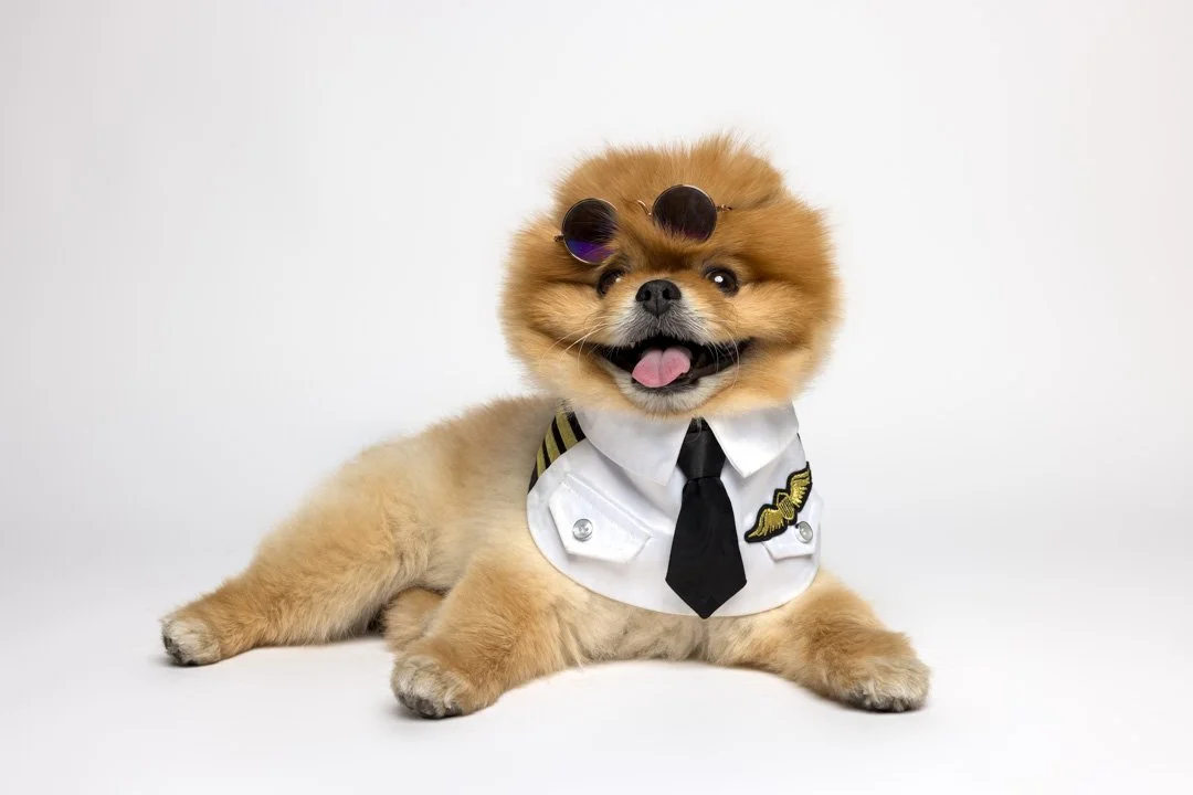 arf_wag_paws_around_the_world_by_michel_rohner_arf_and_wag_kaming_web-3.JPG
