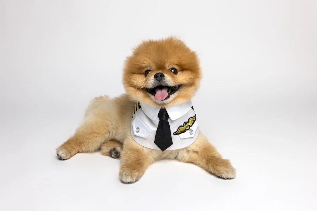 arf_wag_paws_around_the_world_by_michel_rohner_arf_and_wag_kaming_web-4.JPG