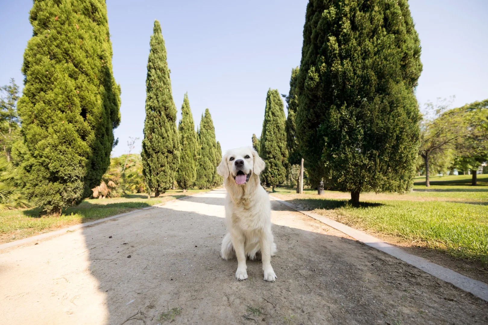 arf_wag_michel_rohner_nacho_baily_web-1.JPG