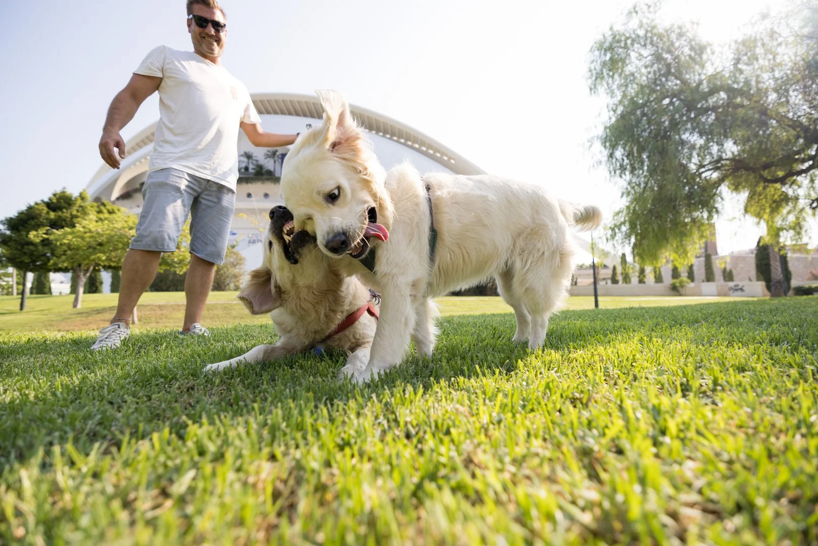 arf_wag_michel_rohner_nacho_baily_web-8.JPG