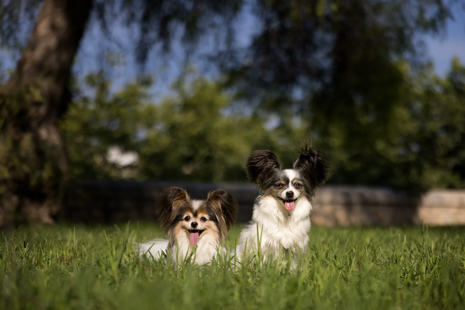 arf_wag_michel_rohner_nacho_violeta_axel_web-3.JPG