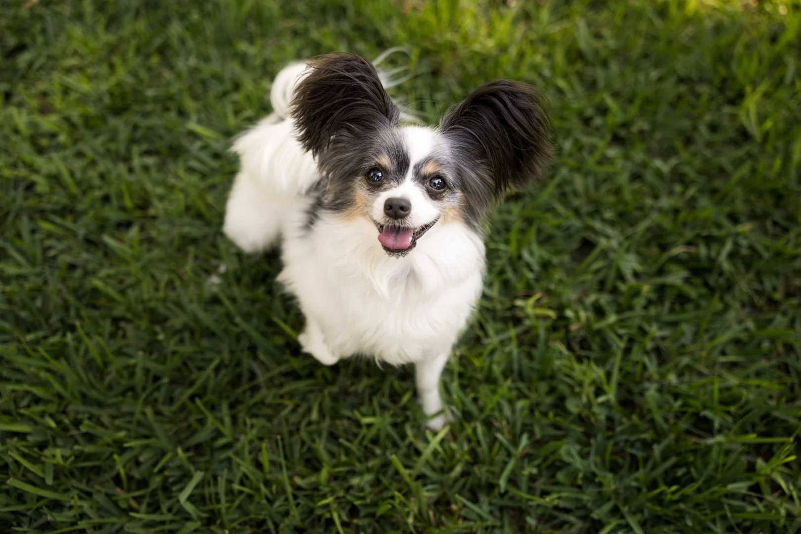 arf_wag_michel_rohner_nacho_violeta_axel_web-5.JPG