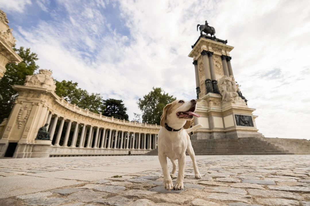 arf_wag_michel_rohner_nova-w-4.JPG