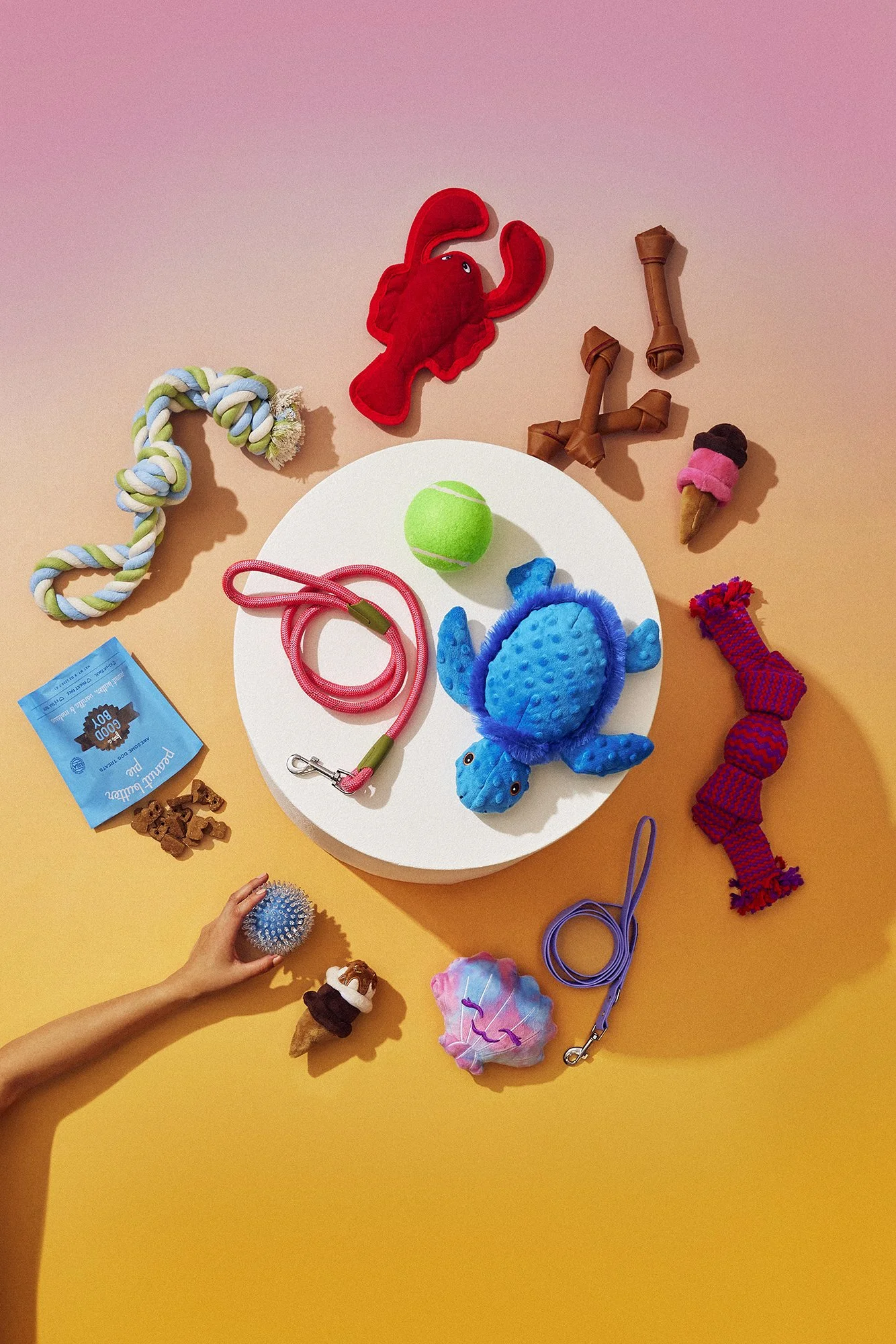 Stephanieprice_pets_stilllife.jpg