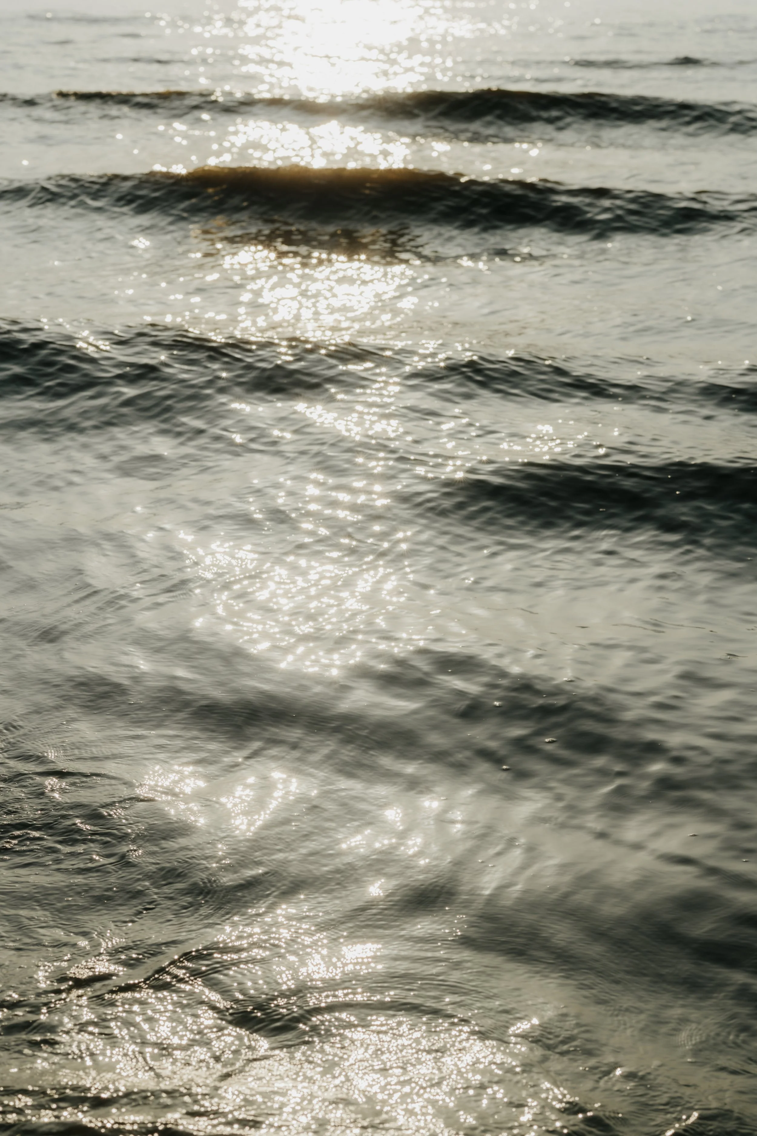 SimsalabrinaFotografie-36.jpg
