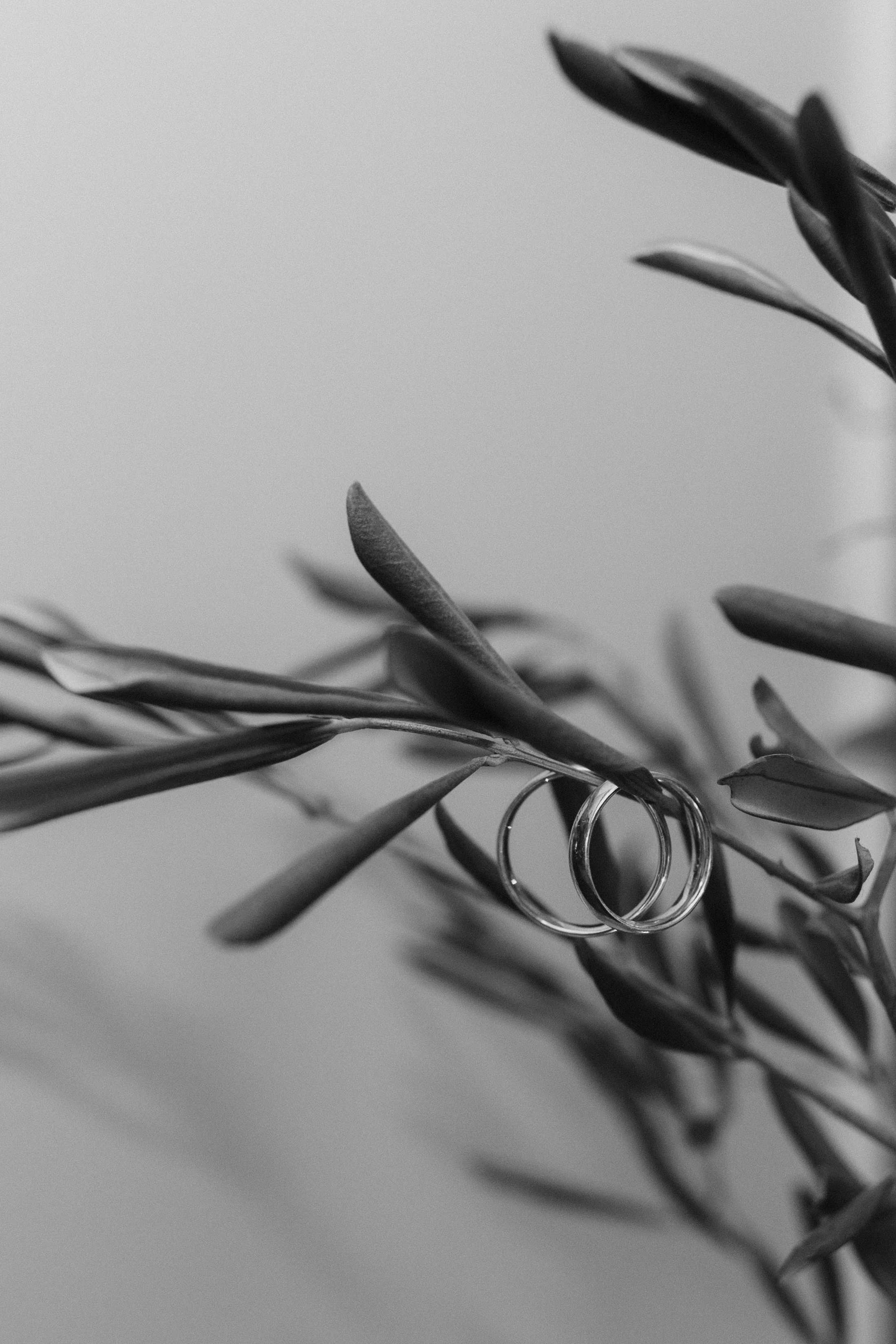 51 - SimsalabrinaFotografie-S&N-Preview-177.jpg