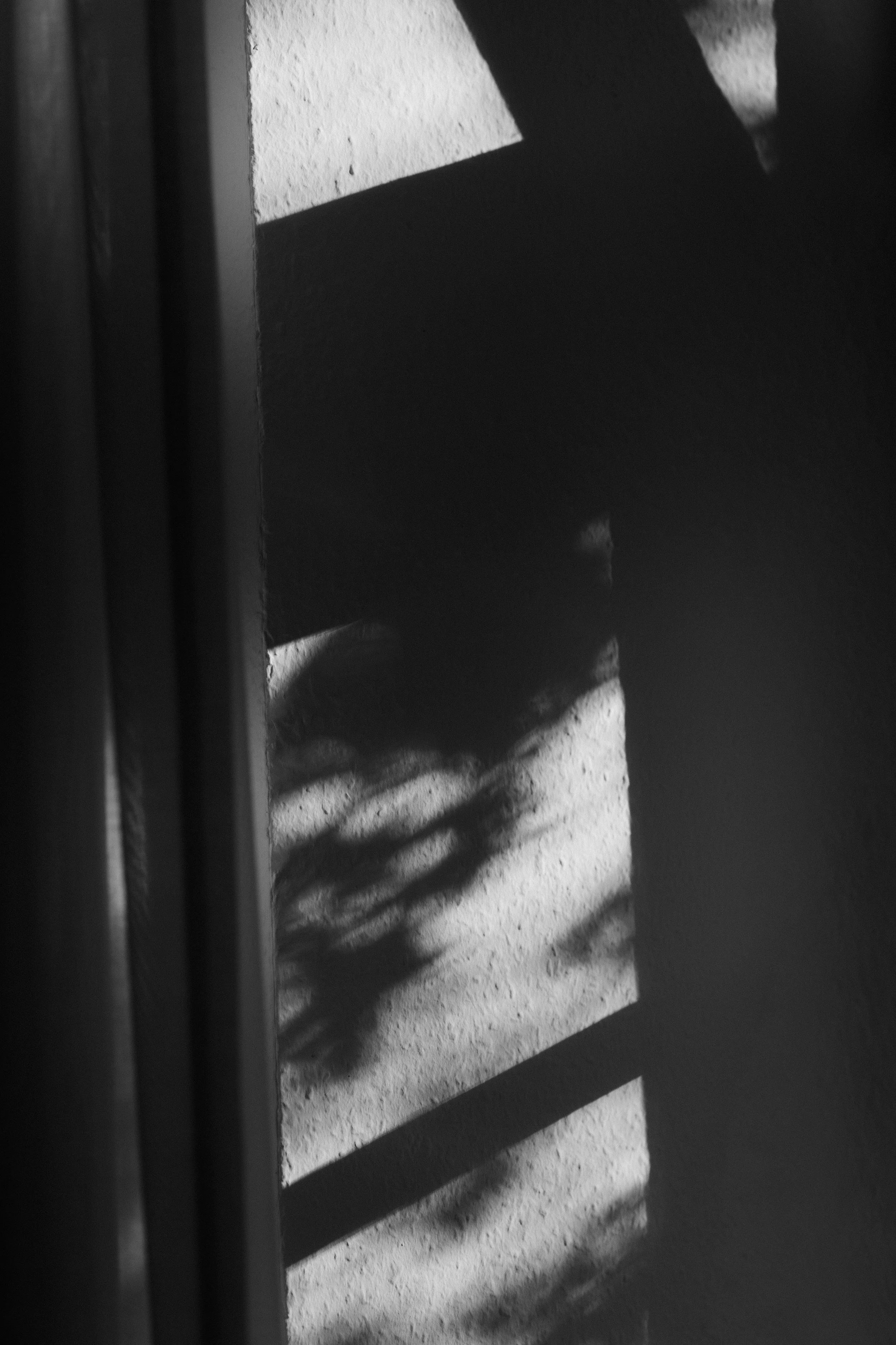 4 - SimsalabrinaFotografie-S&N-Preview-11.jpg