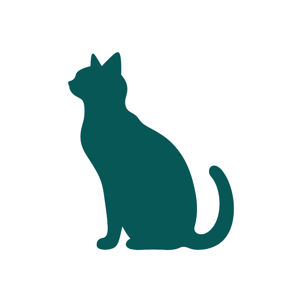 Feline Physiotherapy