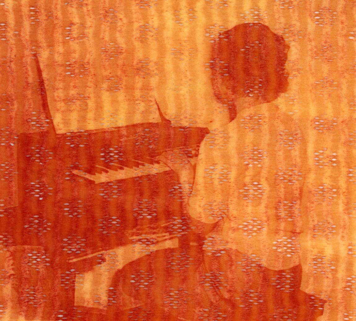 Turmeric Anthotype Fabric Test, 2026