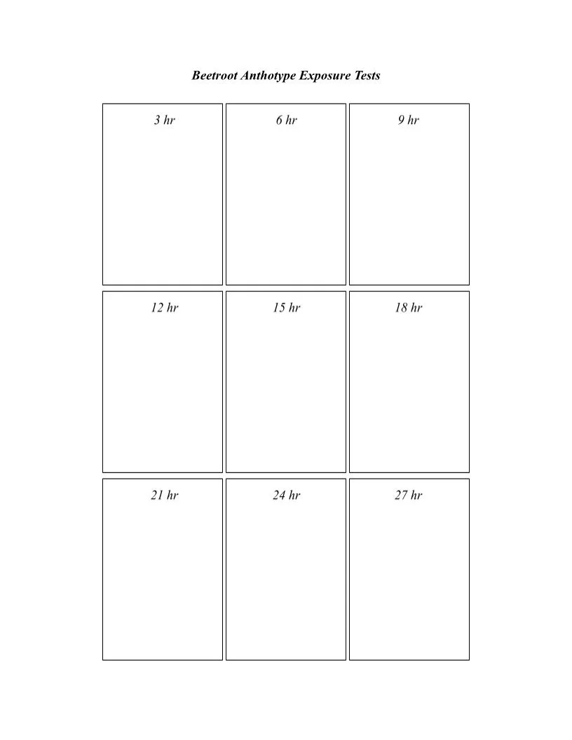 Beetroot antotype time sheet: 3 hrs-27 hrs