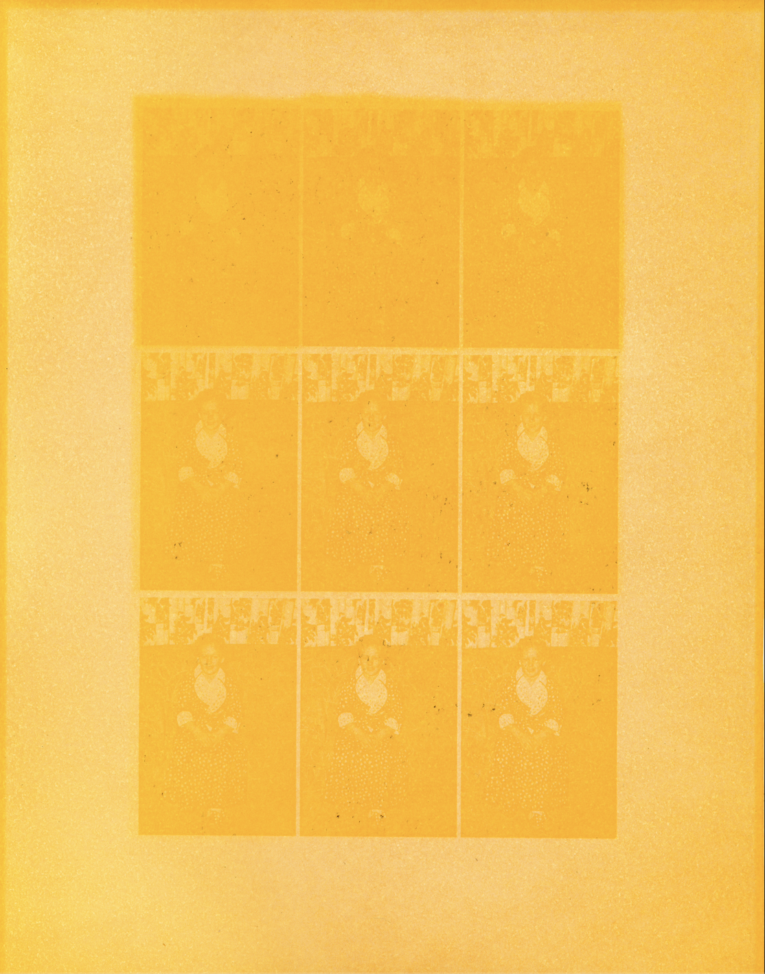 Undeveloped turmeric anthotype test sheet; 15 min-4 hrs under 300 watt UV exposure unit; see time sheet for exact time