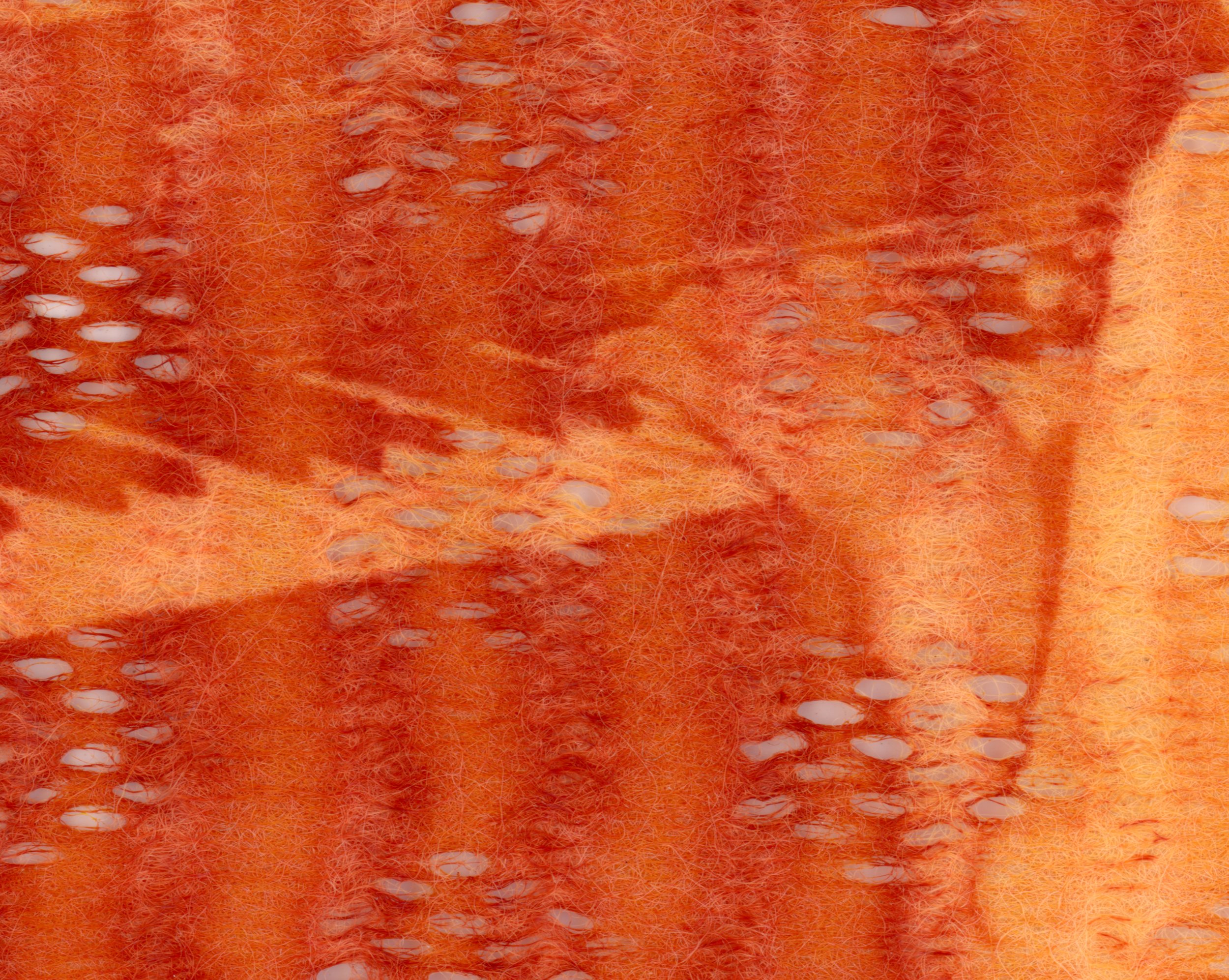Turmeric Anthotype Fabric Test (Detail), 2026