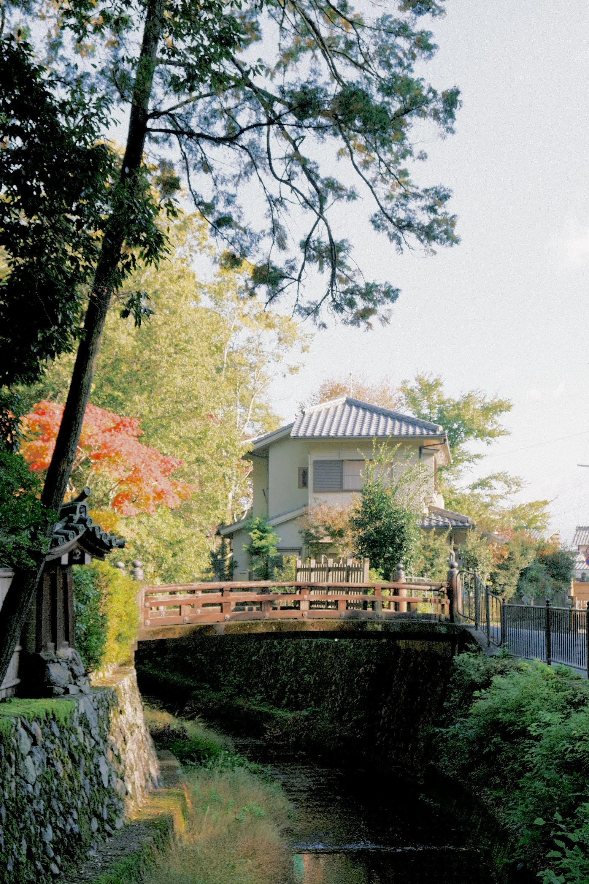 DSCF0295.jpg
