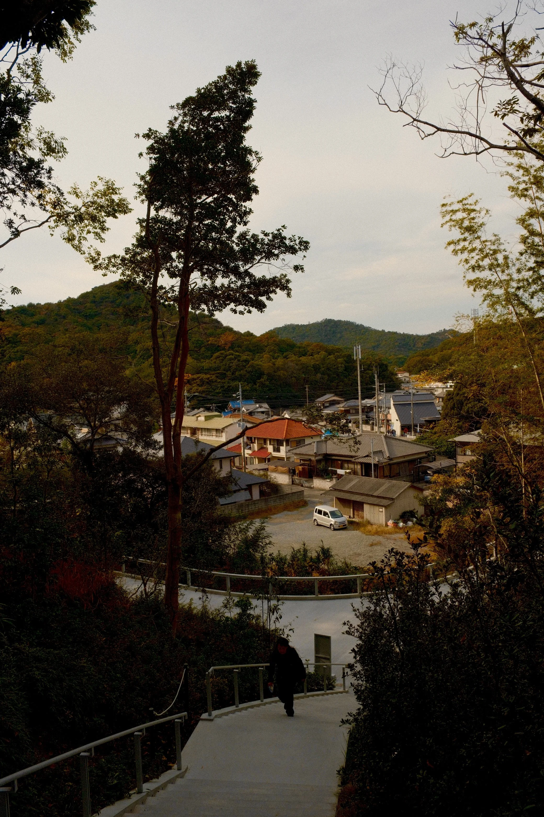 DSCF0866.jpg