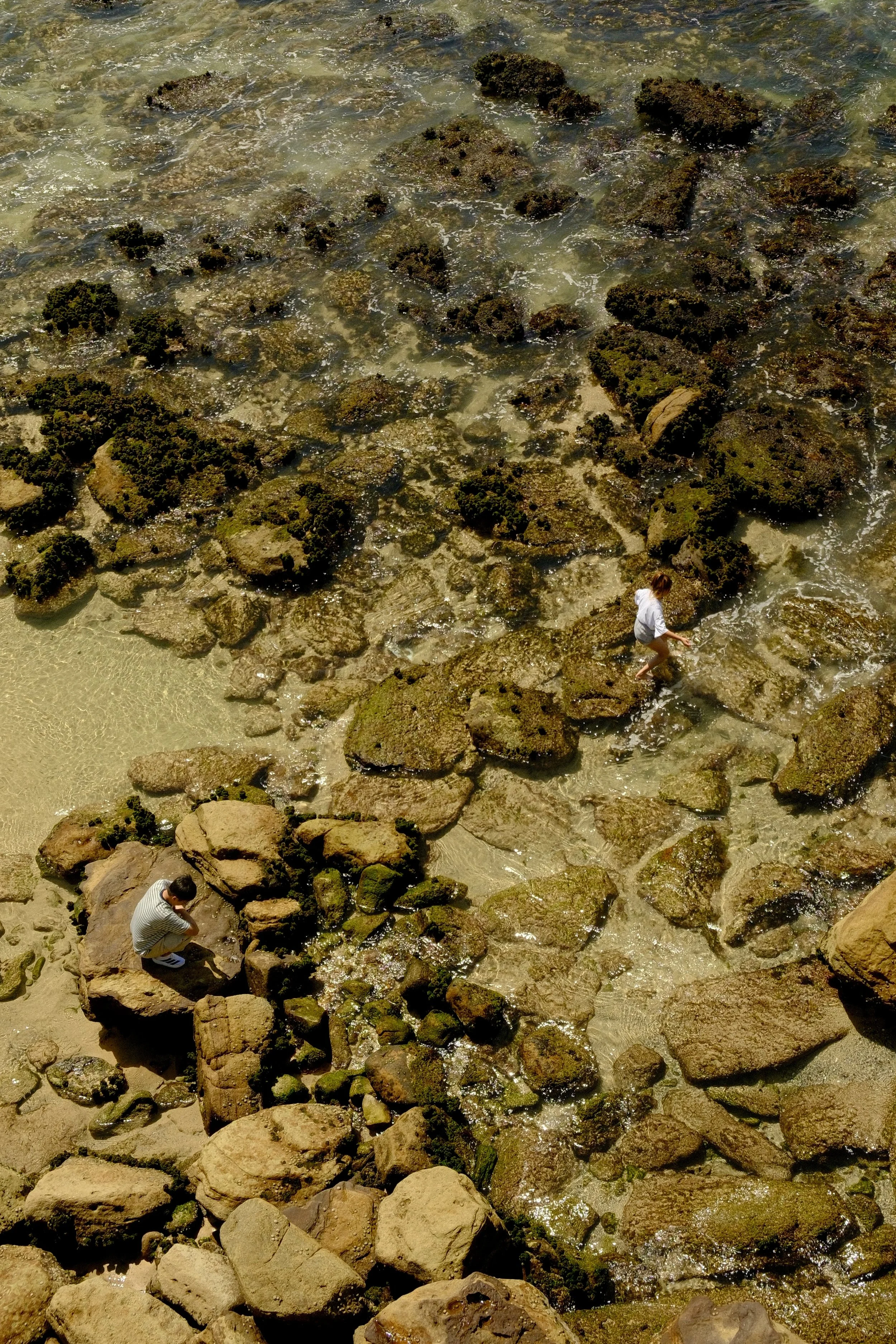DSCF3392.jpg