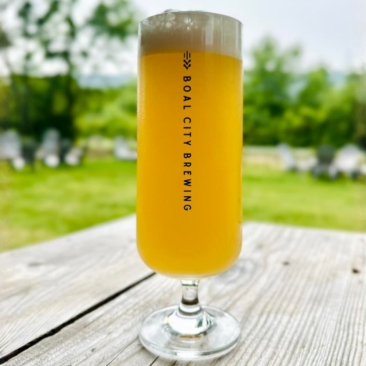 EINKORN WHITBIER.png
